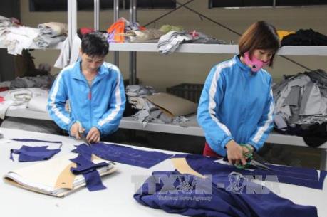 Vitas lên tiếng trước thông tin Campuchia xuất khẩu dệt may vào EU vượt VN