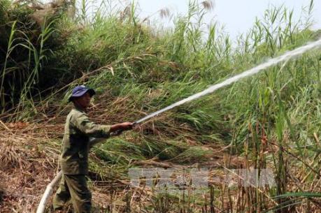 Cảnh báo cháy rừng cấp nguy hiểm ở Đồng bằng sông Cửu Long