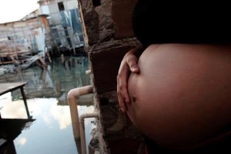 Chuyên gia Brazil: Virus Zika làm tổn thương nghiêm trọng hệ thần kinh của thai nhi