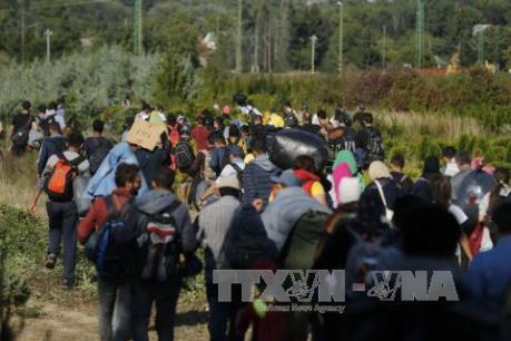 Vấn đề người di cư: Thủ tướng Đức phản đối đóng tuyến "lộ trình Balkan"