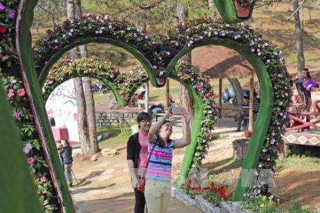 Nở rộ tour du lịch ngắm hoa Xuân