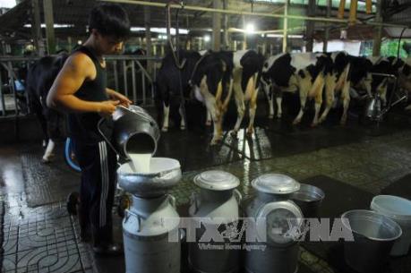 Cần có trung tâm kiểm định chất lượng sữa độc lập