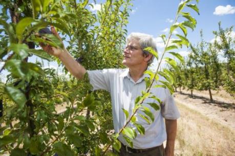 Nông nghiệp Australia đối mặt với nguy cơ do tình trạng ấm lên toàn cầu