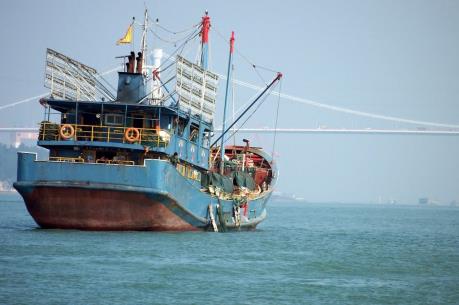 Hàn Quốc bắt giữ 2 tàu Trung Quốc đánh bắt cá bất hợp pháp