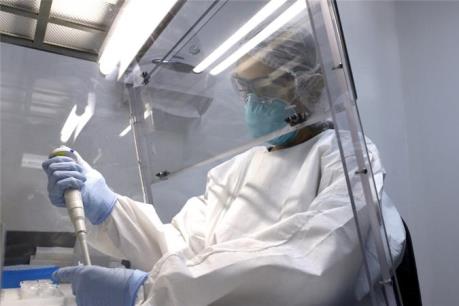 WHO lo không điều chế kịp vaccine phòng chống Zika cho Mỹ Latinh