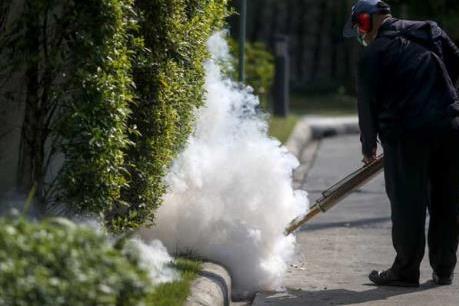 Bộ Y tế nâng mức cảnh báo phòng chống dịch bệnh do vi rút Zika