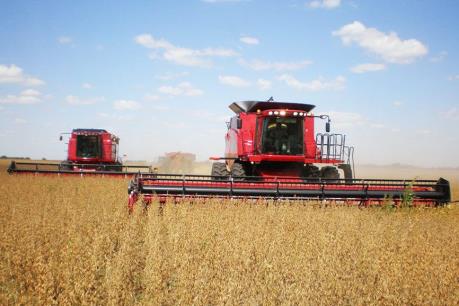 Sản lượng ngũ cốc Brazil có thể tiếp tục phá kỷ lục