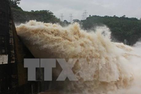 Thuỷ điện Trị An xả nước cầm chừng đẩy mặn vùng hạ du sông Đồng Nai