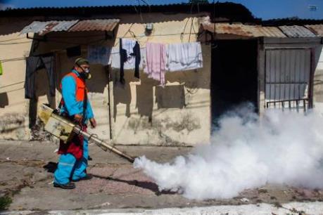 Cuba thông báo trường hợp đầu tiên nhiễm virus Zika nội bộ