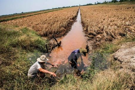 Chống chọi với "họa" thiên tai: Phần 2 - Cấp bách tìm giải pháp