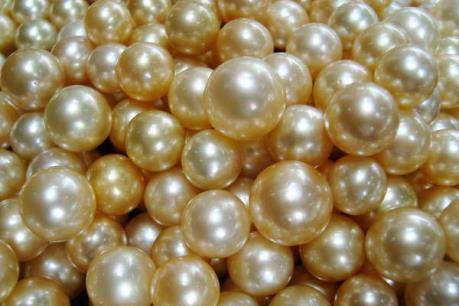 Bangladesh muốn hợp tác với Việt Nam trong lĩnh vực nuôi trai lấy ngọc