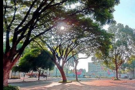 Dự báo thời tiết hai ngày tới: Bắc Bộ ngày nắng, mưa dông vào đêm