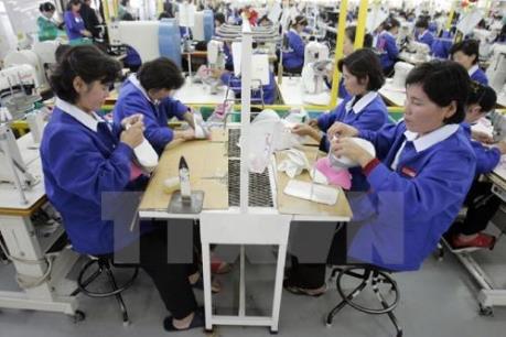 Thị trường việc làm Hàn Quốc tiếp tục phục hồi mạnh mẽ