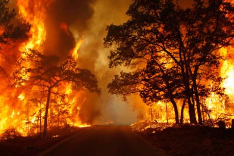 Liên tiếp xảy ra cháy rừng tại Lào Cai