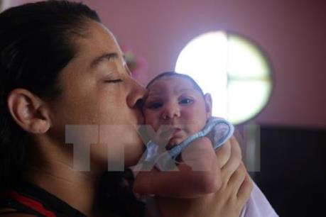 Malaysia xác nhận trường hợp đầu tiên nhiễm virus Zika