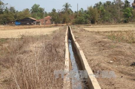 Bộ Nông nghiệp ra phương án chuyển đổi cây trồng ứng phó với hạn hán