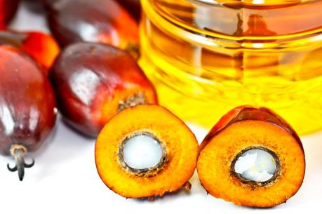 Triển vọng "sáng" của ngành sản xuất dầu cọ Đông Nam Á