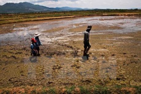 Liên Hợp Quốc: Thiếu nước có thể tác động tiêu cực tới việc làm và tăng trưởng