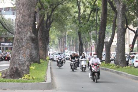 Sắp chặt hạ hàng chục cây cổ thụ làm ga metro Ba Son tại Tp. HCM