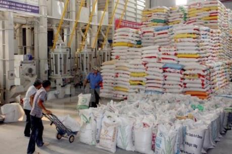 Xuất khẩu gạo 6 tháng đầu năm dự kiến tăng 12%