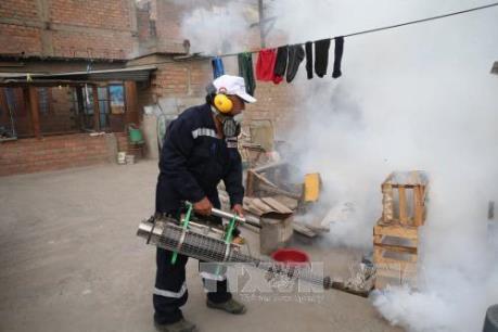 Lâm Đồng nâng mức cảnh báo dịch bệnh do virus Zika lên mức độ 2