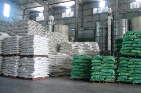 Giá lúa ở Cần Thơ tăng mạnh