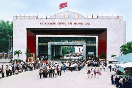 Phòng chống bệnh do vi rút Zika tại các cảng quốc tế