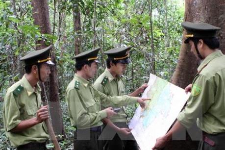 Thu gần 500 tỷ đồng từ dịch vụ môi trường rừng