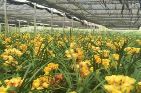 Doanh nghiệp trẻ Việt Nam: Nghĩ khác, làm khác!