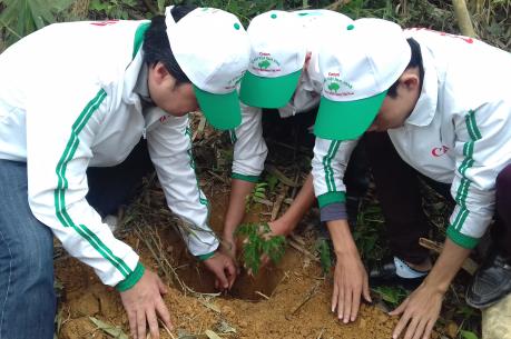 Canon tham gia trồng rừng “Vì một Việt Nam xanh” 2016