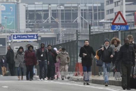 Hậu khủng bố tại Bỉ: Du khách ngại ngần tới Brussels
