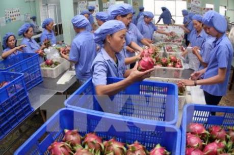 60% nguồn cung thị trường rau quả Campuchia đến từ Việt Nam