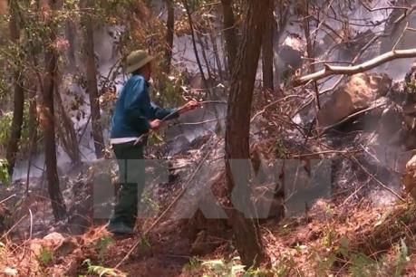 Cháy rừng ở Vườn quốc gia Chư Mom Ray