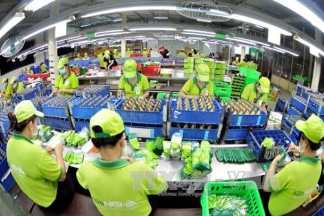 Sửa đổi Luật Thuế xuất khẩu, Thuế nhập khẩu tạo động lực cho doanh nghiệp phát triển