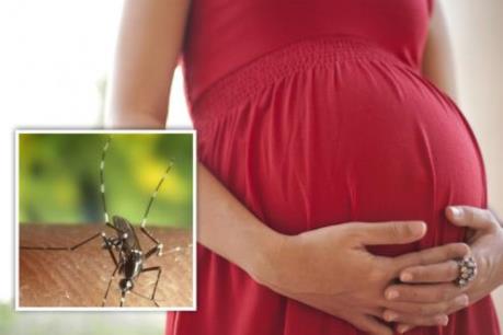 Tp.Hồ Chí Minh: Thêm một thai phụ nhiễm Zika, 23/24 quận, huyện có ca bệnh