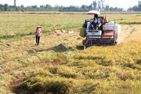 Sản xuất nông nghiệp hữu cơ mang lại lợi nhuận cao cho nông dân