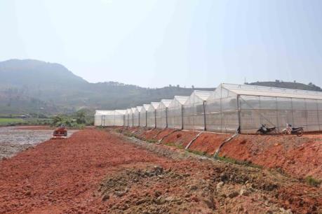 Vụ lấn chiếm hồ Đankia - Suối Vàng: Kỷ luật cá nhân, tập thể để xảy ra sai phạm