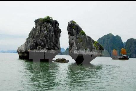 Truyền thông Argentina ca ngợi sức hút du lịch Việt Nam