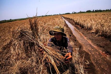 Phó Thủ tướng Vương Đình Huệ: Tây Nam bộ cần tăng cường liên kết vùng