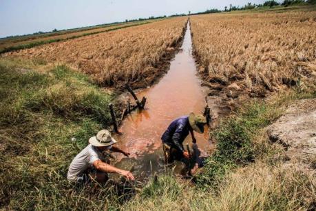 Nông dân An Giang hiến đất để làm mương thủy lợi chống hạn