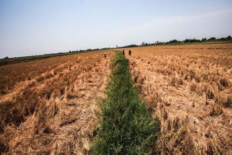 Tình trạng khô hạn, xâm nhập mặn vẫn tiếp diễn cho đến nửa đầu tháng 5/2016