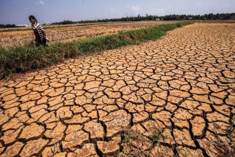 Xâm nhập mặn ở Nam Bộ, hạn hán ở Trung Bộ và Tây Nguyên vẫn diễn biến phức tạp