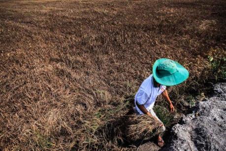 WB cho vay 560 triệu USD phát triển đô thị và thích ứng với biến đổi khí hậu