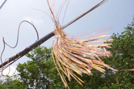 Bình Phước: Phá thành công chuyên án trộm cáp viễn thông