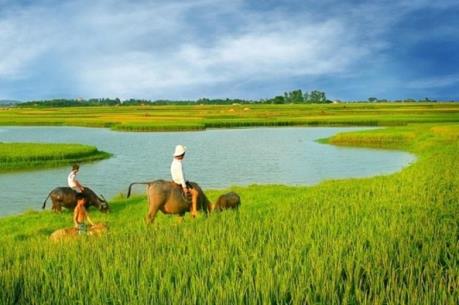 DPM: Lãi sau thuế hợp nhất năm 2015 đạt 1.488,2 tỷ đồng