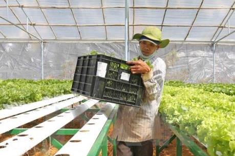 Hoàn thiện cơ chế, chính sách, tạo môi trường thuận lợi cho đầu tư vào nông nghiệp