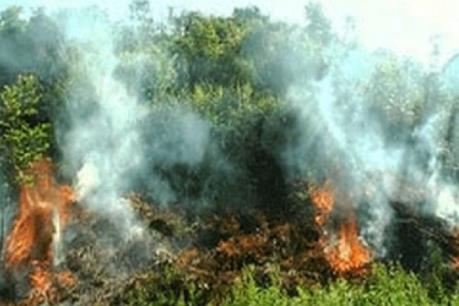 Cháy rừng trên diện rộng tại Yên Bái