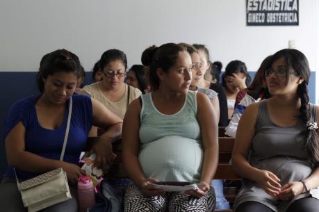 Virus Zika làm gián đoạn sự phát triển của não bộ thai nhi