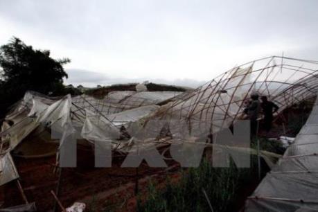 Dự báo thời tiết ngày mai 8/4: Tây Nguyên đề phòng tố lốc, mưa đá