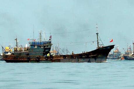 Quảng Bình xử lý 6 tàu đánh cá Trung Quốc vi phạm chủ quyền vùng biển Việt Nam